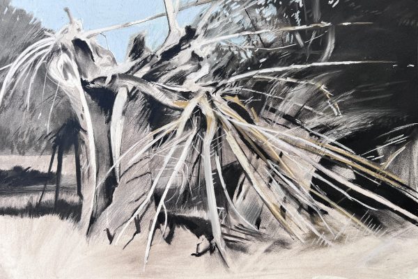 Willow Trees on the Stour between Dedham and Flatford